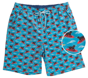 
                  
                    Load image into Gallery viewer, Doggy Paddle: Swim Trunks - Light Blue
                  
                