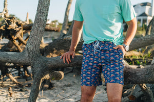 
                  
                    Load image into Gallery viewer, Doggy Paddle: Swim Trunks - Navy
                  
                